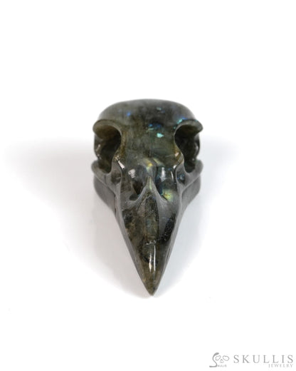Night Pathfinder - Gem Raven Skull Pendant Necklace of Labradorite Carved Raven Skull - 9900302 - Skull Pendants