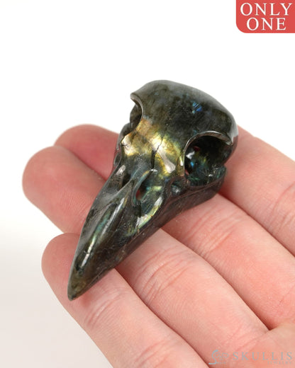 Night Pathfinder - Gem Raven Skull Pendant Necklace of Labradorite Carved Raven Skull - 9900302 - Skull Pendants