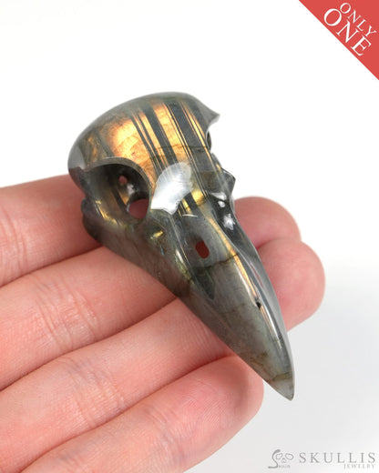 Night Pathfinder - Gem Raven Skull Pendant Necklace of Labradorite Carved Raven Skull - 9900303 - Skull Pendants