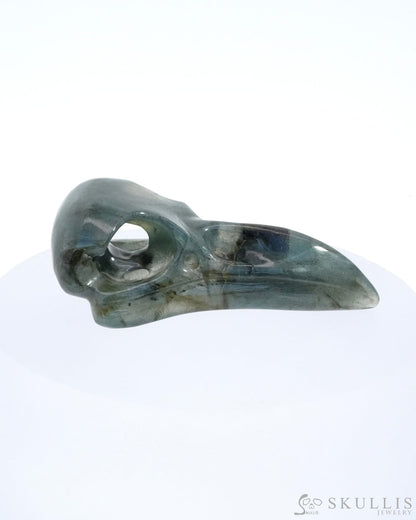 Gem Raven Skull Pendant Necklace of Labradorite Carved Raven Skull - ZR19500164 Skull Pendants