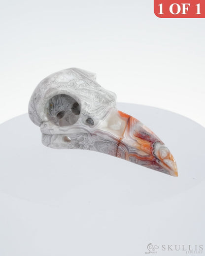 Gem Raven Pendant Necklace Of Red Crazy Lace Agate Carved Raven Skull - 9500120 Pendants
