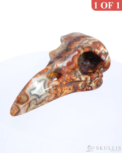 Gem Raven Skull Pendant Necklace Of Red Crazy Lace Agate Carved Raven - 9500162 Pendants