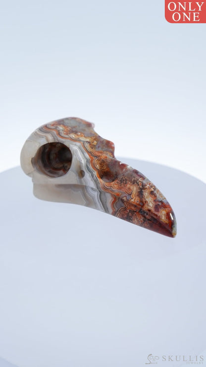 Gem Raven Skull Pendant Necklace Of Red Crazy Lace Agate Carved Raven - 9500169 Pendants