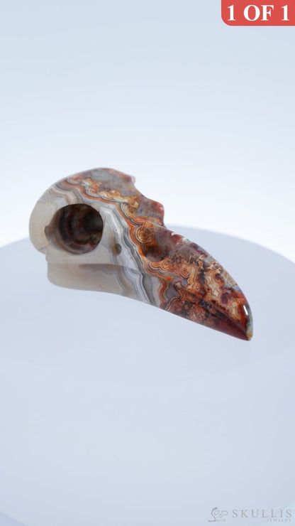 Gem Raven Skull Pendant Necklace Of Red Crazy Lace Agate Carved Raven - 9500169 Pendants