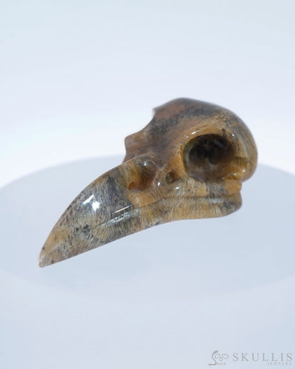 Gem Raven Skull Pendant Necklace Of Sagenitic Agate Carved Raven - 9500181 Pendants