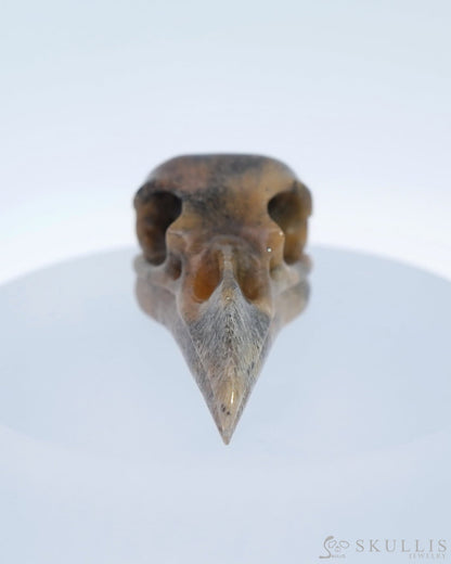 Gem Raven Skull Pendant Necklace Of Sagenitic Agate Carved Raven - 9500181 Pendants