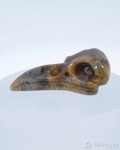 Gem Raven Skull Pendant Necklace Of Sagenitic Agate Carved Raven - 9500181 Pendants