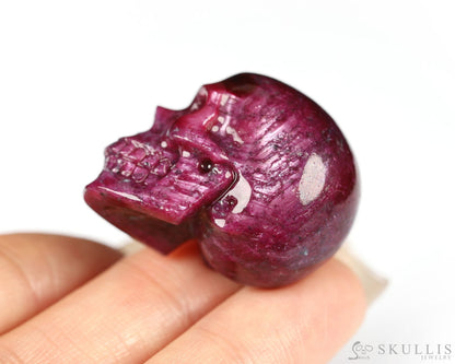 Rare 1.1’’ Ruby Carved Gem Skull Skullis Realistic - 0800063 Tiny Gemstone Skull