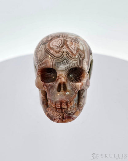 Gem Skull Of Red Crazy Lace Agate Carved Realistic Tiny Gemstone