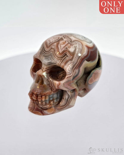 Gem Skull Of Red Crazy Lace Agate Carved Realistic Tiny Gemstone