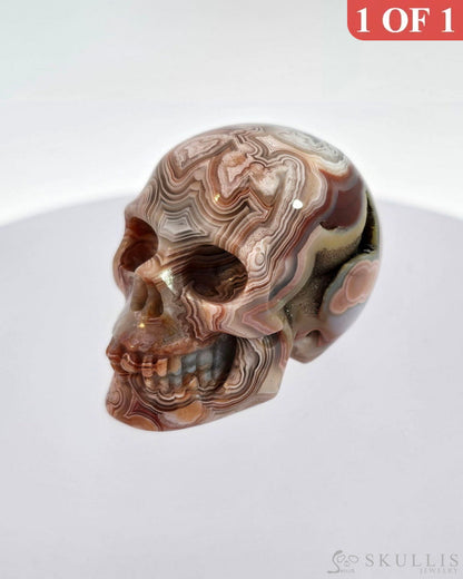 Gem Skull Of Red Crazy Lace Agate Carved Realistic Tiny Gemstone