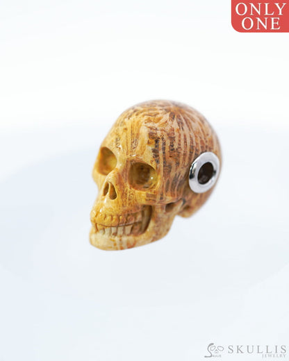 Skullis Signature Coral Fossil Gem Skull Pendant or Necklace Hand Carved for Women & Men - 0500002 Skull Pendants