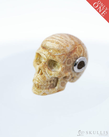 Skullis Signature Coral Fossil Gem Skull Pendant or Necklace Hand Carved Sterling Silver 925 Chain for Women & Men