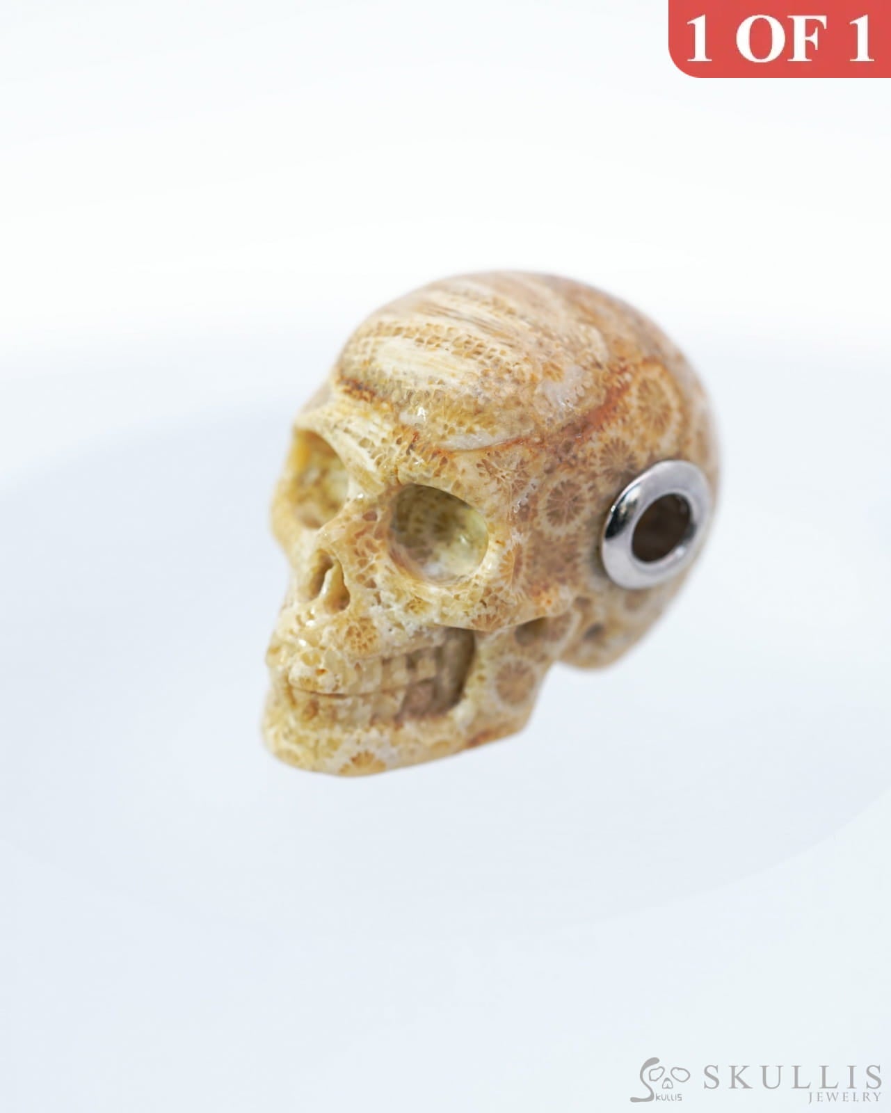 Skullis Signature Coral Fossil Gem Skull Pendant or Necklace Hand Carved Sterling Silver 925 Chain for Women & Men