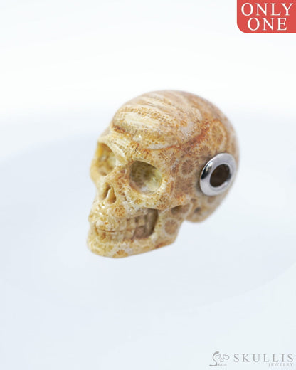 Skullis Signature Coral Fossil Gem Skull Pendant or Necklace Hand Carved Sterling Silver 925 Chain for Women & Men
