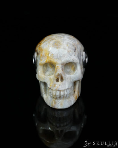 Skullis Signature Coral Fossil Gem Skull Pendant or Necklace Hand Carved Sterling Silver 925 Chain for Women & Men