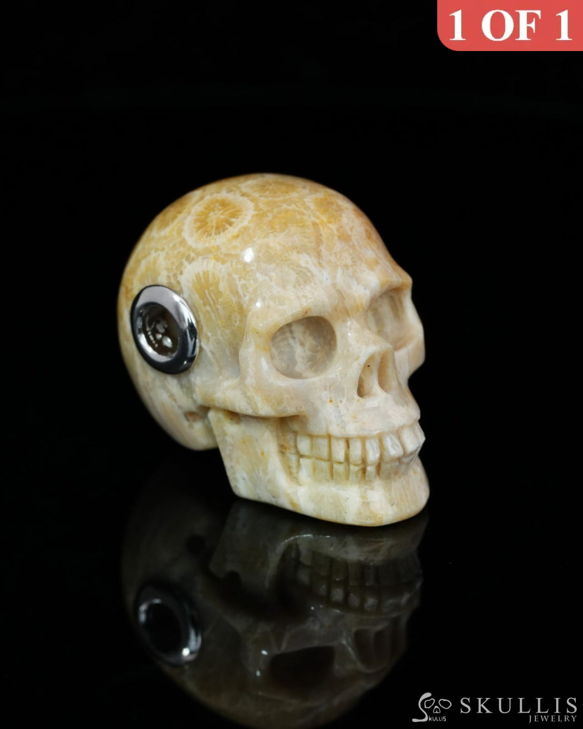 Skullis Signature Coral Fossil Gem Skull Pendant or Necklace Hand Carved Sterling Silver 925 Chain for Women & Men