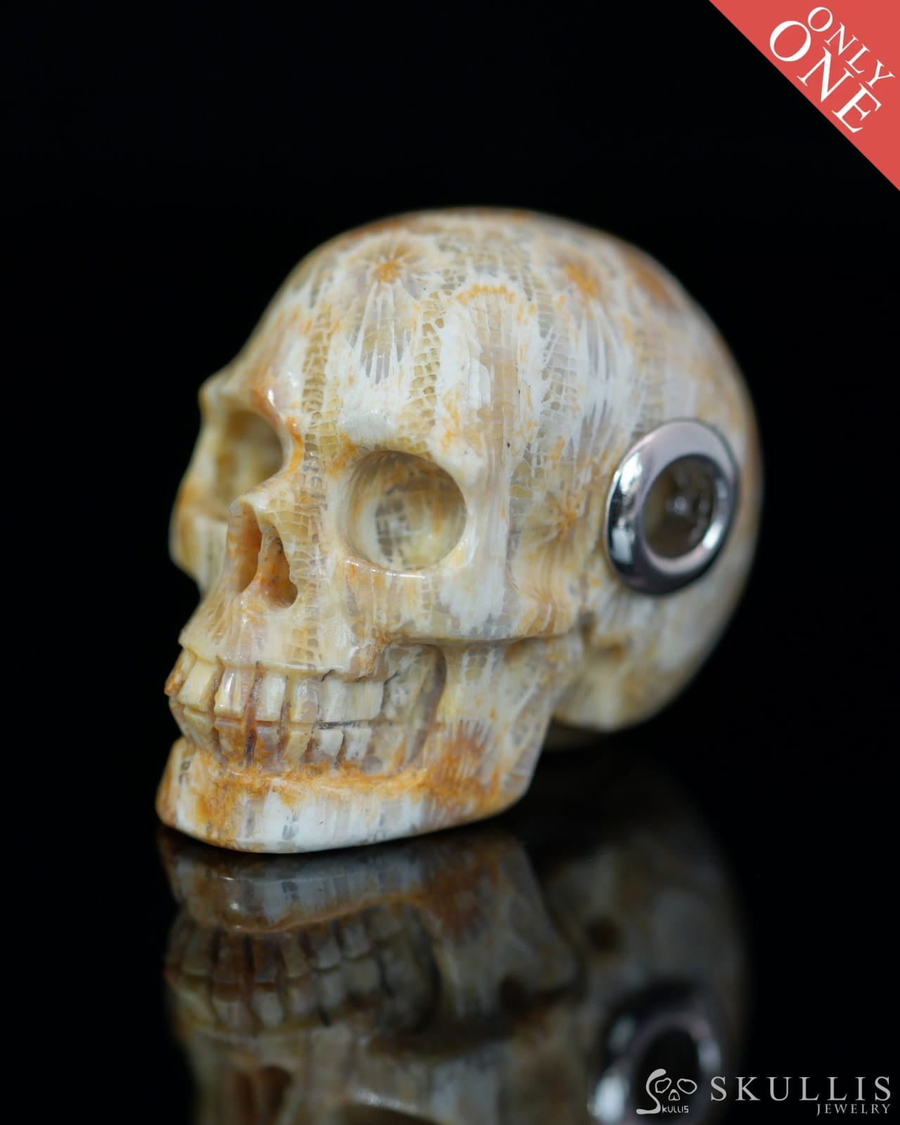 Skullis Signature Coral Fossil Gem Skull Pendant or Necklace Hand Carved Sterling Silver 925 Chain for Women & Men