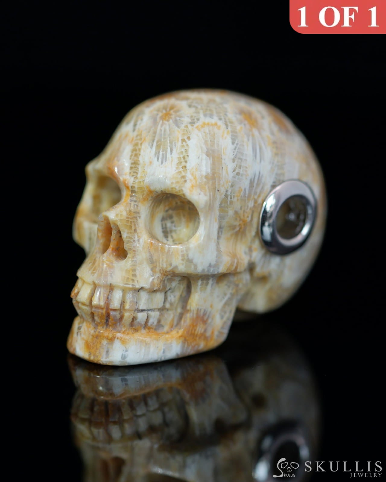 Skullis Signature Coral Fossil Gem Skull Pendant or Necklace Hand Carved Sterling Silver 925 Chain for Women & Men