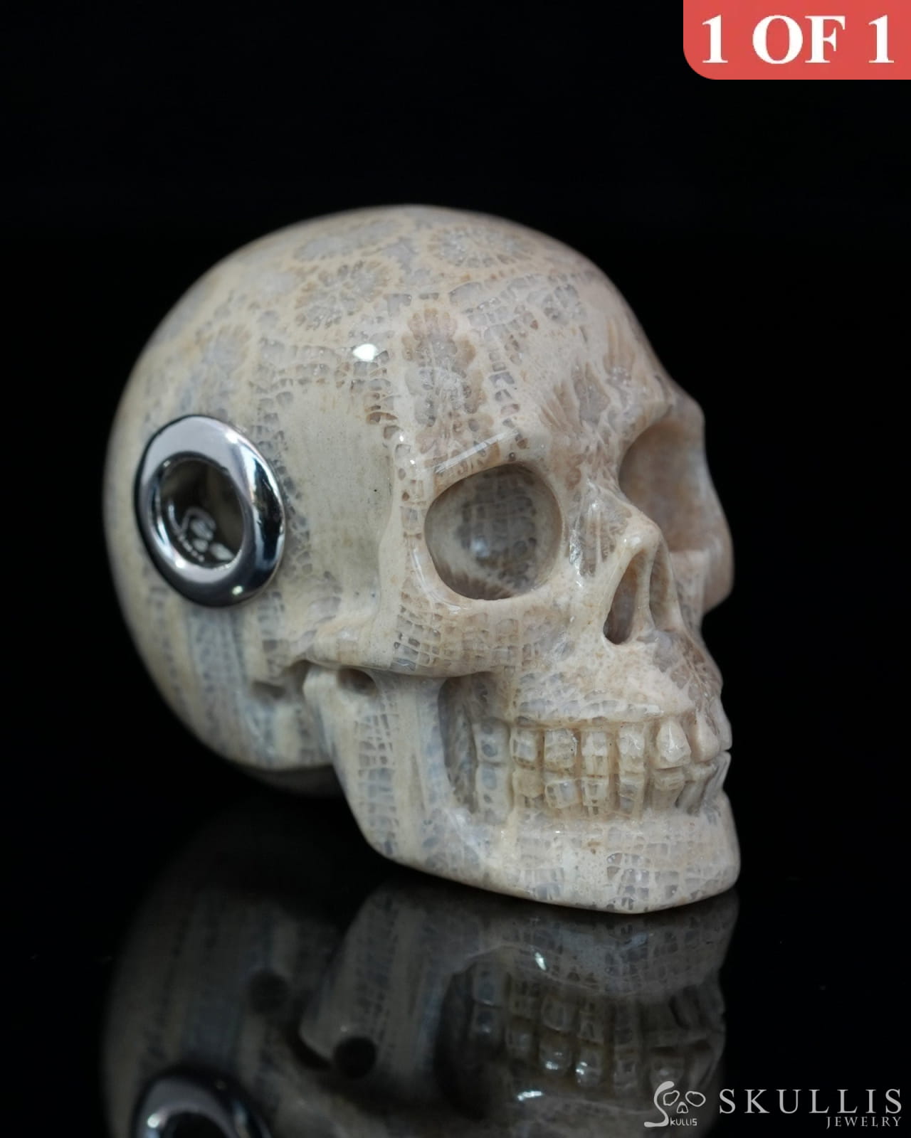 Skullis Signature Coral Fossil Gem Skull Pendant or Necklace Hand Carved Sterling Silver 925 Chain for Women & Men