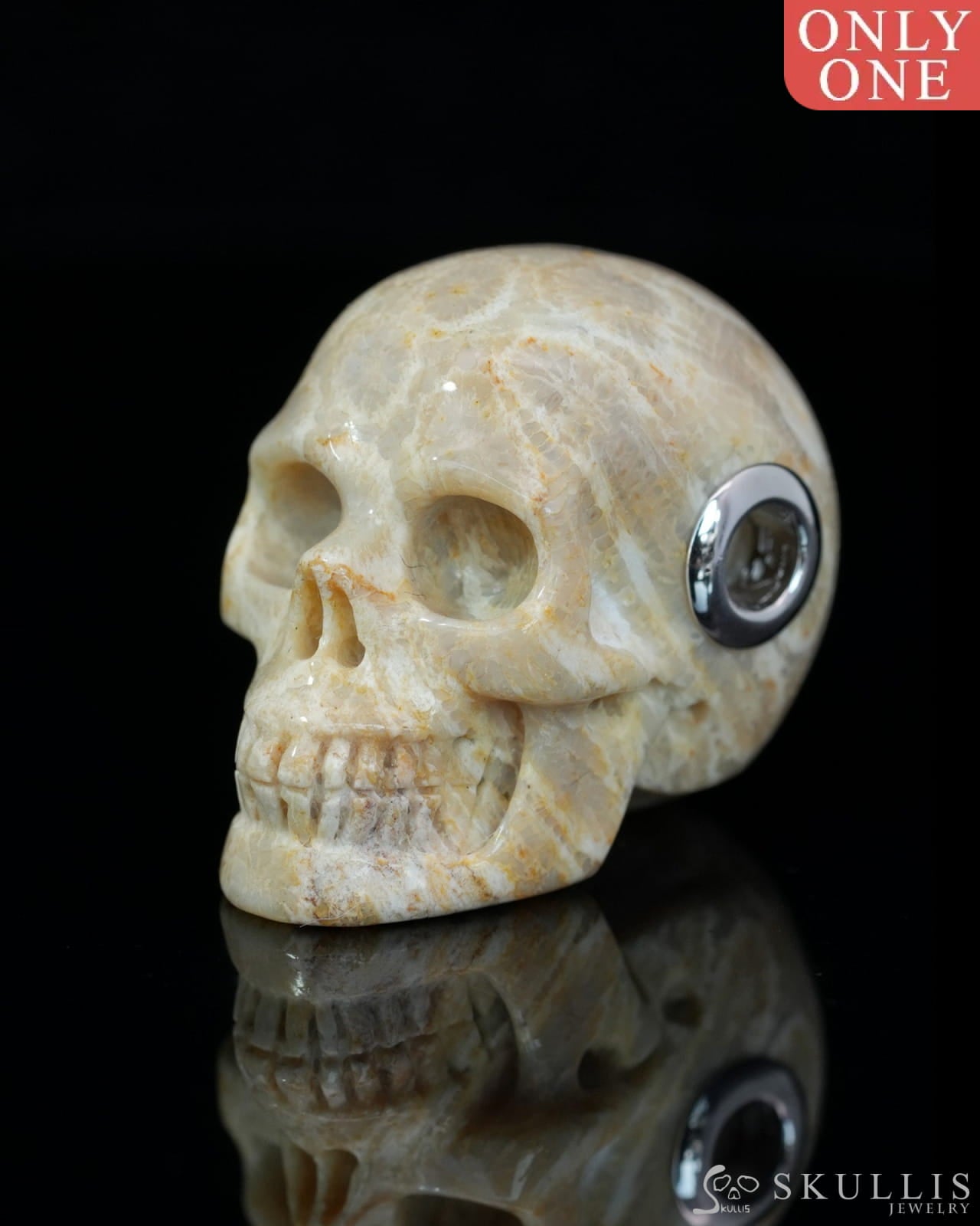 Skullis Signature Coral Fossil Gem Skull Pendant or Necklace Hand Carved Sterling Silver 925 Chain for Women & Men