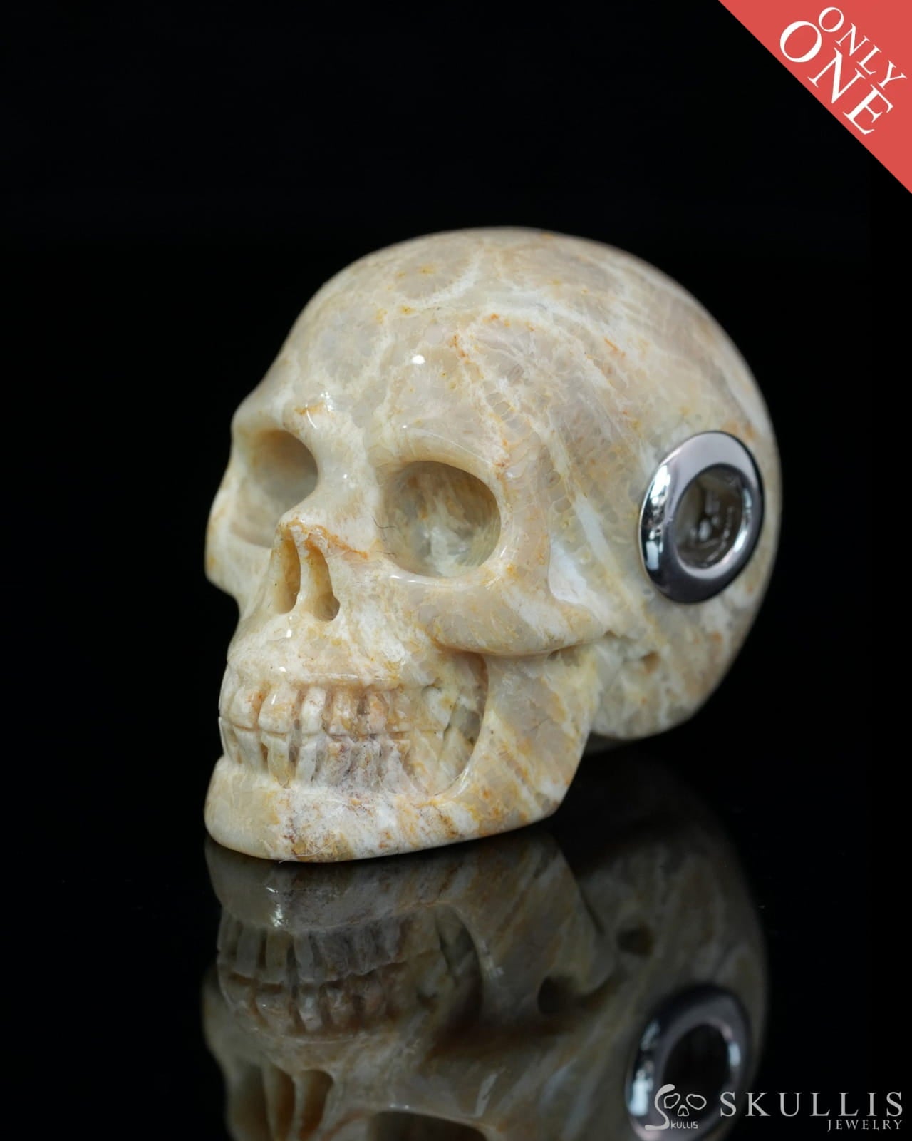 Skullis Signature Coral Fossil Gem Skull Pendant or Necklace Hand Carved Sterling Silver 925 Chain for Women & Men