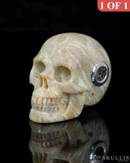 Skullis Signature Coral Fossil Gem Skull Pendant or Necklace Hand Carved Sterling Silver 925 Chain for Women & Men