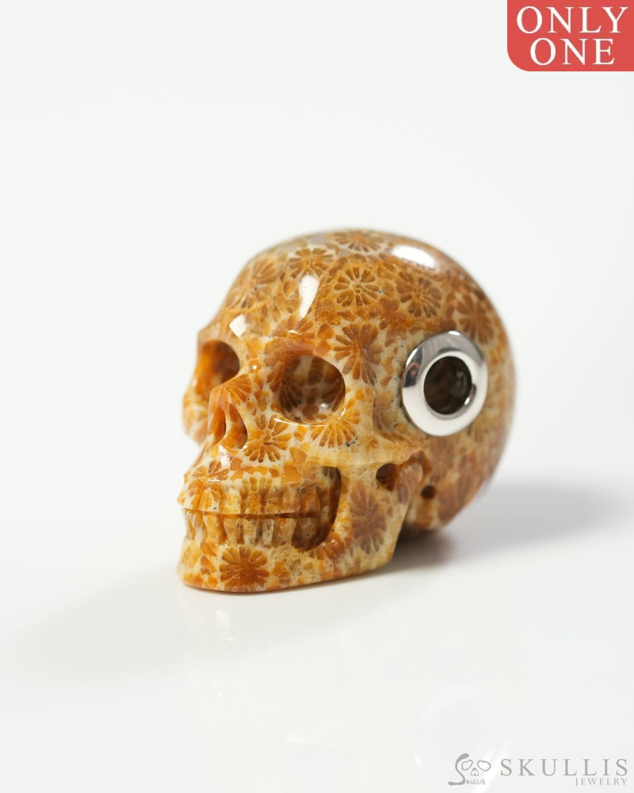 Skullis Signature Coral Fossil Gem Skull Pendant or Necklace Hand Carved Sterling Silver 925 Chain for Women & Men