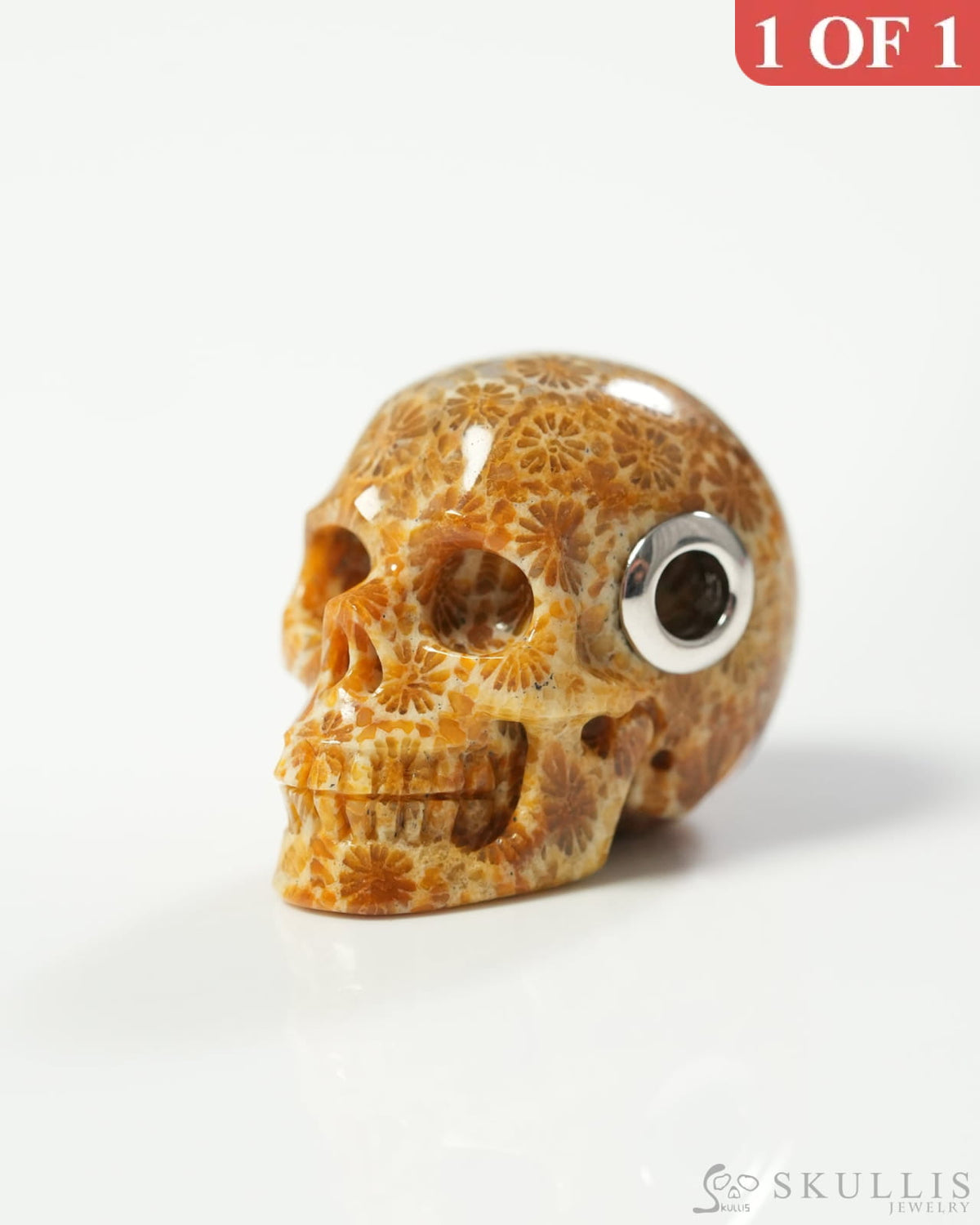 Skullis Signature Coral Fossil Gem Skull Pendant or Necklace Hand Carved Sterling Silver 925 Chain for Women & Men