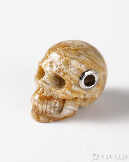 Skullis Signature Spiderweb Coral Fossil Gem Skull Pendant or Necklace Hand Carved Sterling Silver 925 Chain for Women