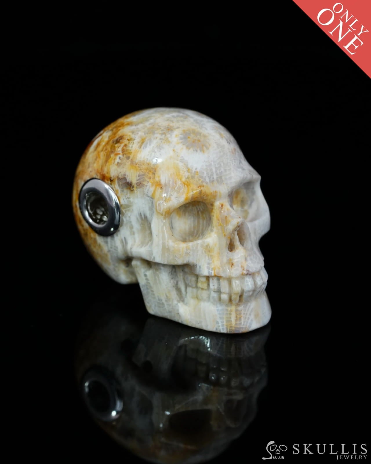 Skullis Signature Coral Fossil Gem Skull Pendant or Necklace Hand Carved Sterling Silver 925 Chain for Women & Men