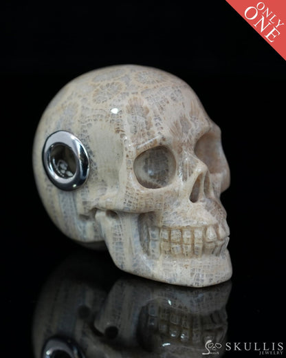 Skullis Signature Coral Fossil Gem Skull Pendant or Necklace Hand Carved Sterling Silver 925 Chain for Women & Men