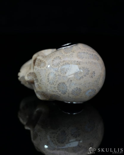 Skullis Signature Coral Fossil Gem Skull Pendant or Necklace Hand Carved Sterling Silver 925 Chain for Women & Men