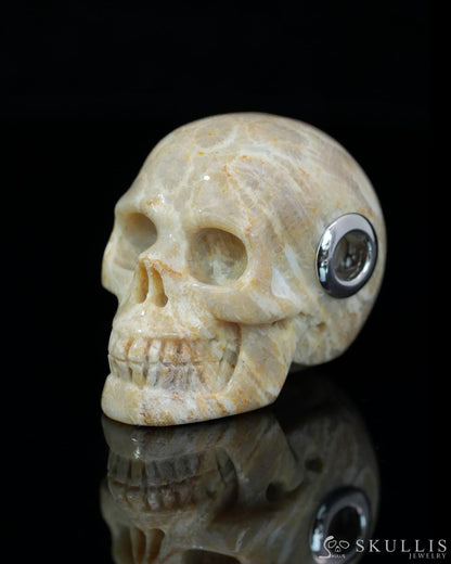 Skullis Signature Coral Fossil Gem Skull Pendant or Necklace Hand Carved Sterling Silver 925 Chain for Women & Men