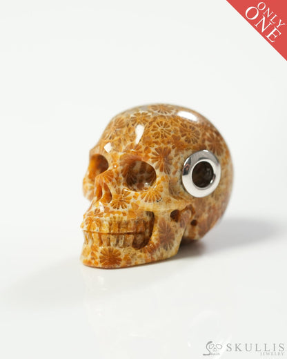 Skullis Signature Coral Fossil Gem Skull Pendant or Necklace Hand Carved Sterling Silver 925 Chain for Women & Men
