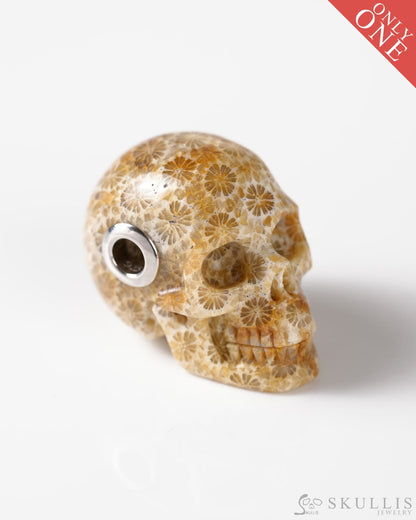 Skullis Signature Spiderweb Coral Fossil Gem Skull Pendant or Necklace Hand Carved Sterling Silver 925 Chain for Women