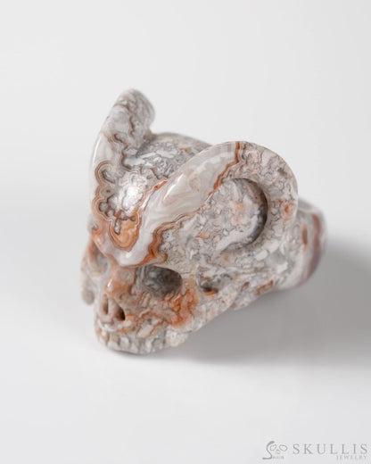 Gem Skull Ring of Red Crazy Lace Agate Carved Beast Skull US size 9 - 9800273 Skull Rings