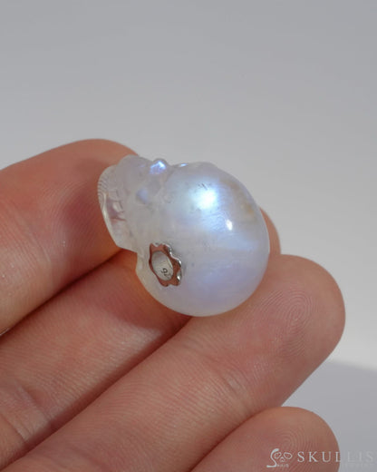 Skullis Signature Moonstone Gem Skull Pendant or Necklace Hand Carved for Women & Men - 0500028 Skull Pendants