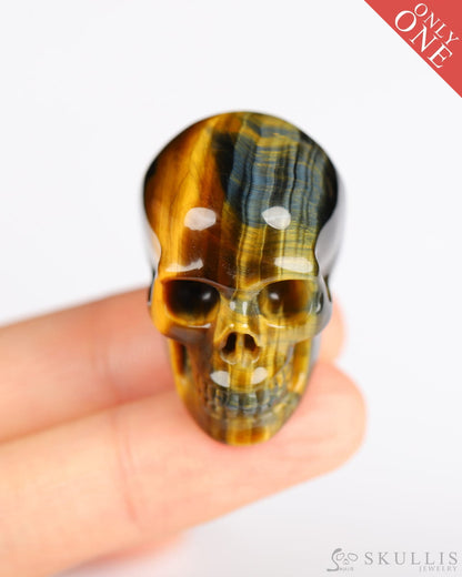 1.1’’ Blue & Gold Tiger’s Eye Carved Gem Skull Skullis Realistic - 9800185 Tiny Gemstone Skull
