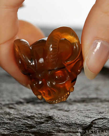 Gem Skull Ring of Agate Carved Beast Skull US size 9.5 - 9500329 Skull Rings