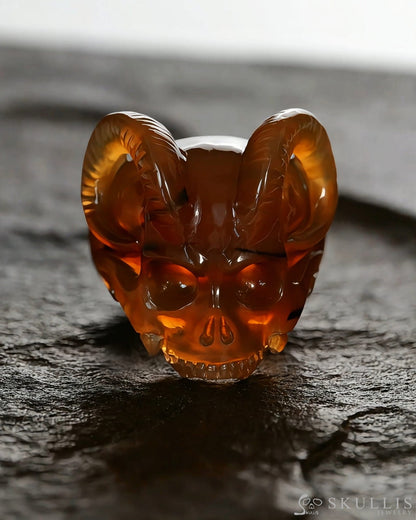 Gem Skull Ring of Agate Carved Beast Skull US size 9.5 - 9500329 Skull Rings