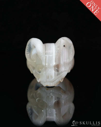 Gem Skull Ring of Red Crazy Lace Agate Carved Beast Skull US size 9 - 0800026 (Copy) (Copy) Skull Rings