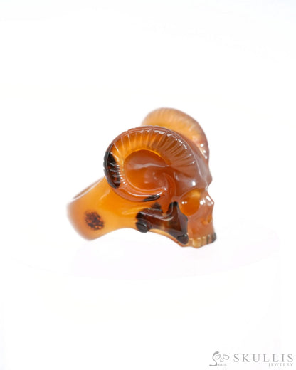 Gem Skull Ring of Premium Brazilian Agate Carved Beast Skull US size 7 - 9500237 Skull Rings