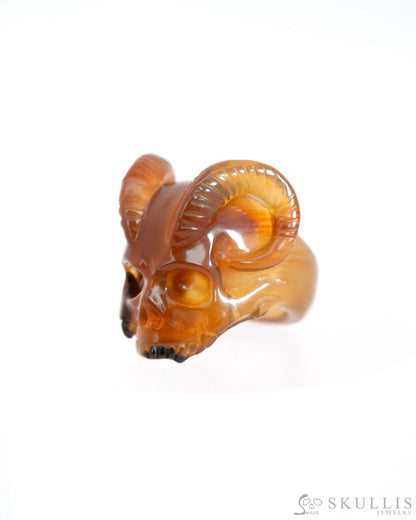 Gem Skull Ring of Premium Brazilian Agate Carved Beast Skull US size 7 - 9500237 Skull Rings