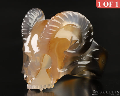Whole Gem Skull Ring Of Premium Brazilian Agate Carved Skull Totally Us Size 8 5.5