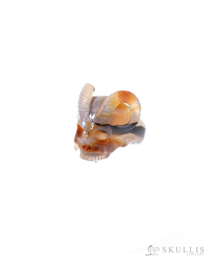 Gem Skull Ring of Premium Brazilian Agate Carved Skull Totally US size 8 - 9500187 Skull Rings