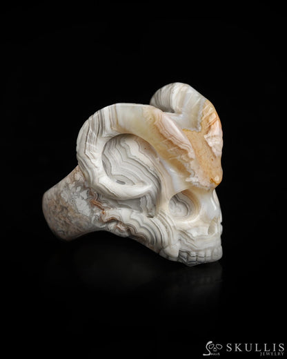 Skullis Gem Skull Ring of Red Crazy Lace Agate Carved Beast Skull US size 7 - 9800238 Skull Rings