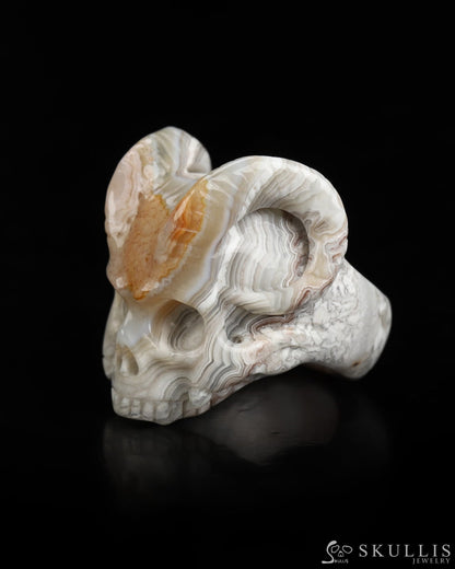 Skullis Gem Skull Ring of Red Crazy Lace Agate Carved Beast Skull US size 7 - 9800238 Skull Rings