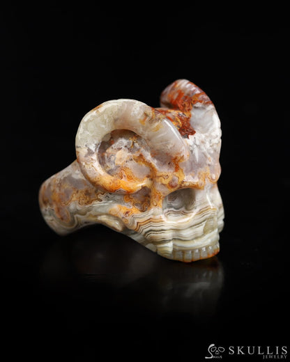 Skullis Gem Skull Ring of Red Crazy Lace Agate Carved Beast Skull US size 9 - 9800236 Skull Rings