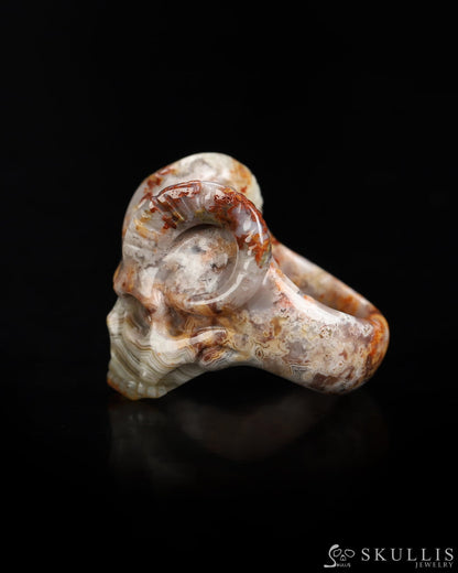 Skullis Gem Skull Ring of Red Crazy Lace Agate Carved Beast Skull US size 9 - 9800236 Skull Rings